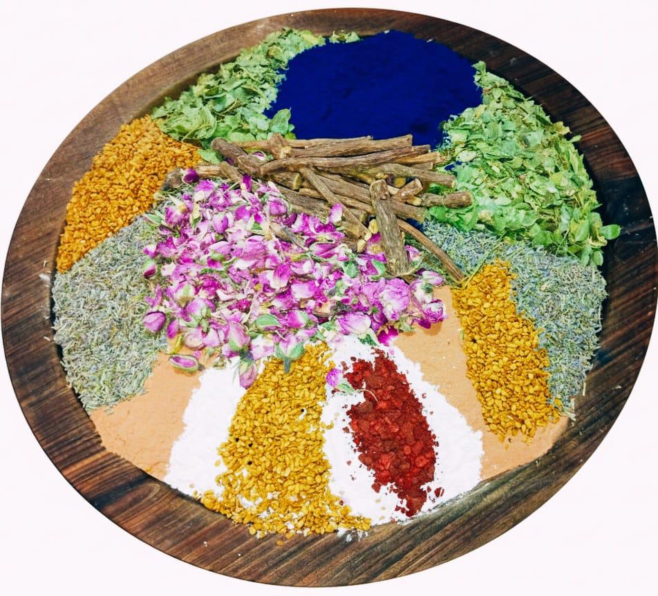 Masque Jeunesse des Reines